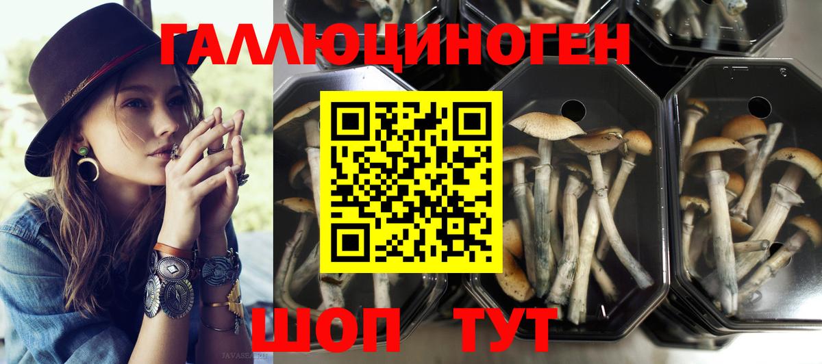 Псилоцибиновые грибы Magic Shrooms  Вход с VPN  магазин    Дмитров 