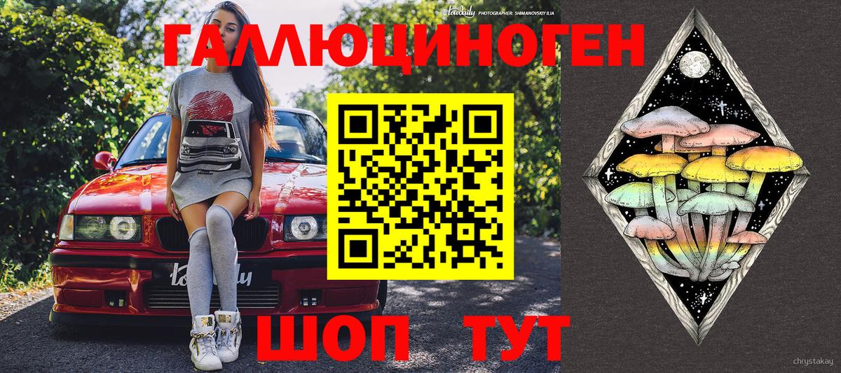 Галлюциногенные грибы Psilocybine cubensis Дмитров